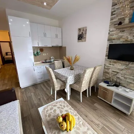 Dragan Apartment Budva